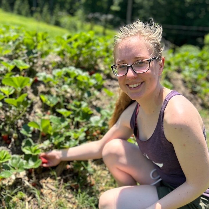 Karis+picking+strawberries+smaller.jpg