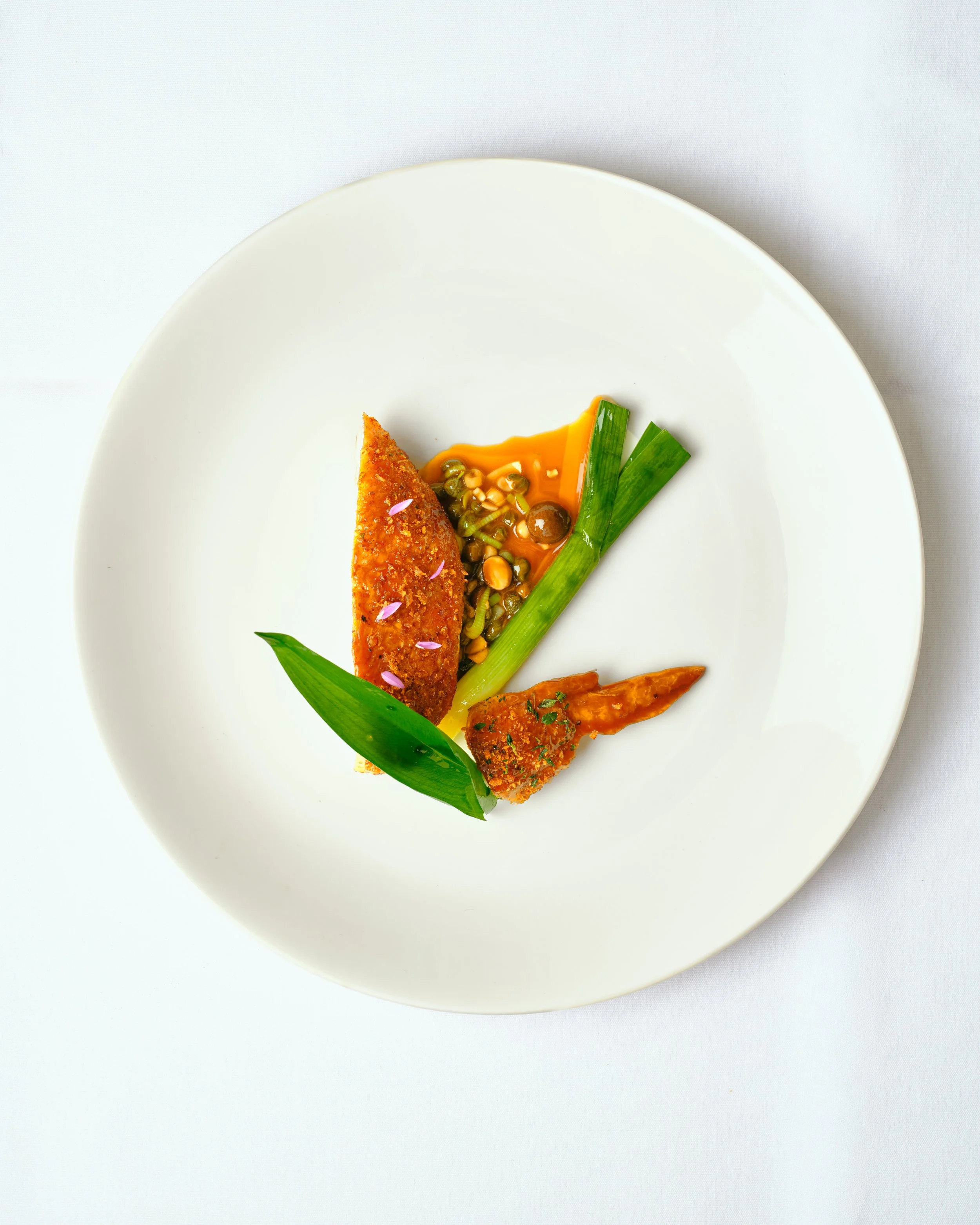 Corn-fed Chicken
Sage Stuffed Wing, Baby leek, Chicken veloute 