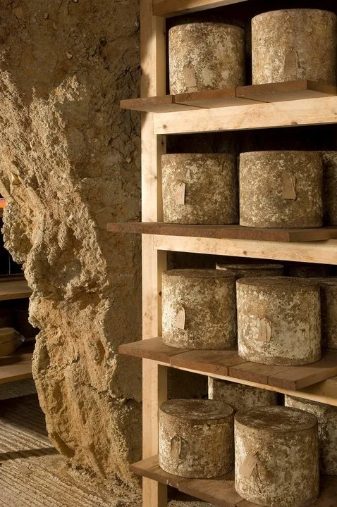 Several aged cheese rounds stored on wooden shelves next to a rough stone wall.