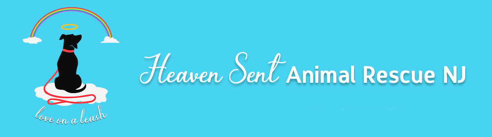 Heaven Sent Animal Rescue NJ