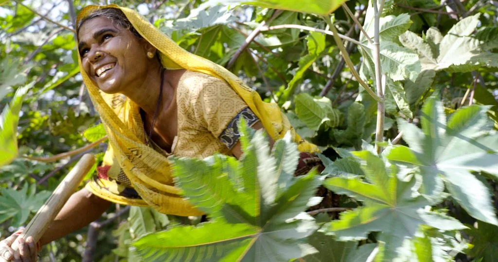 Shy farmer in the field.Still042.jpg