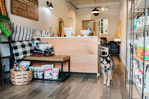 Napa Natural Dog Co., Pet groomer