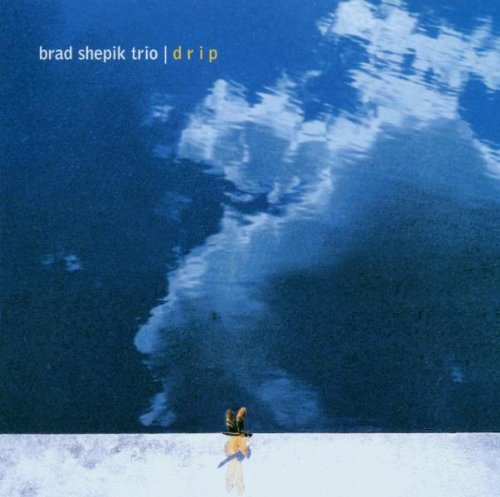 Brad Shepik Trio - 'Drip' (2003)