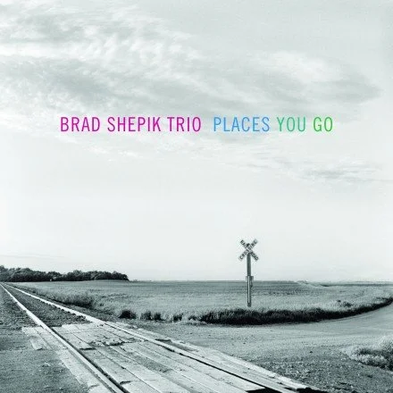 Brad Shepik Trio Places You Go