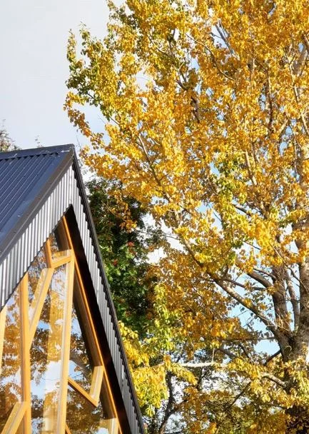 Menningardagur á Akureyri: Rölt um Lystigarðinn og Listasafnið