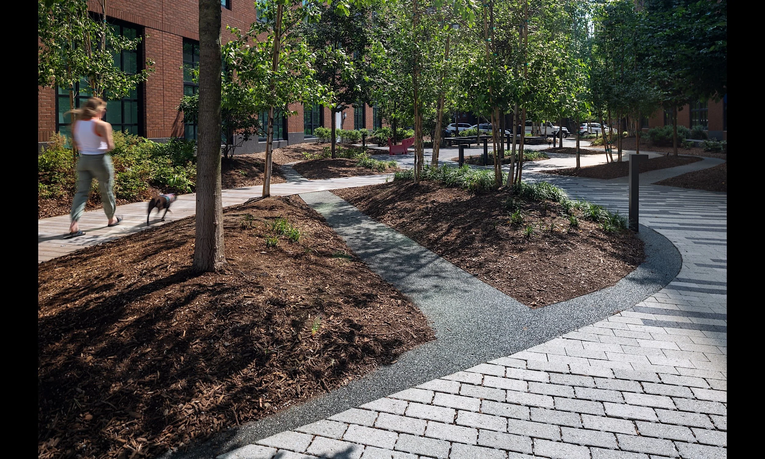 Smith-Phase2-16.jpg