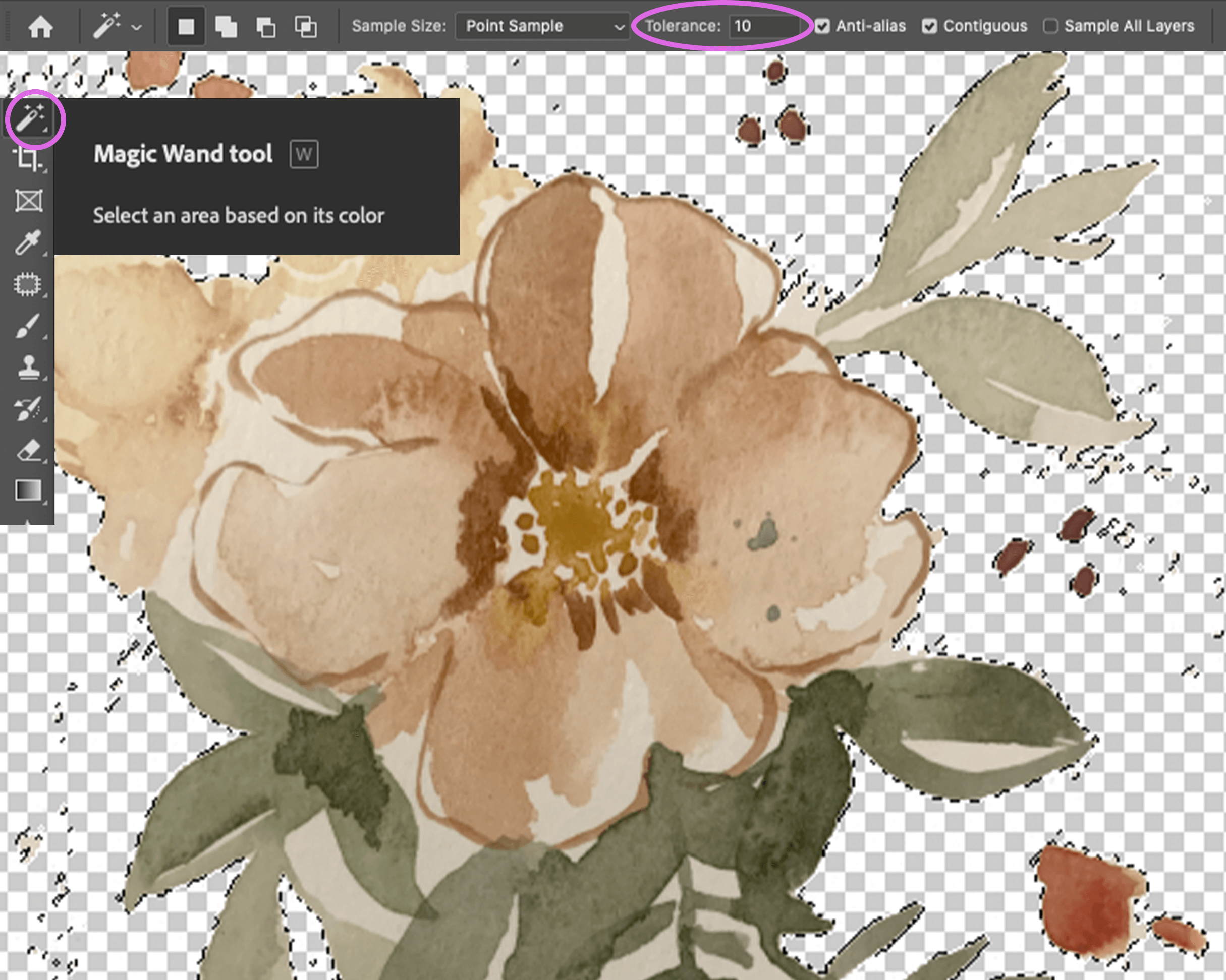 How to Digitize Artwork My 5 Step Process to Digitize Artwork in