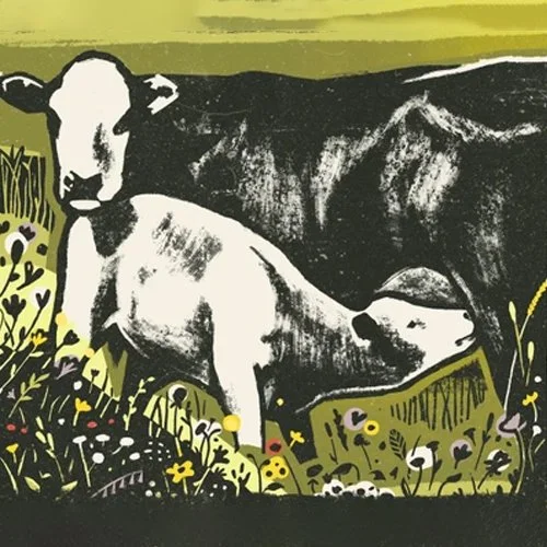an illustration of two grass feed beef cattle
