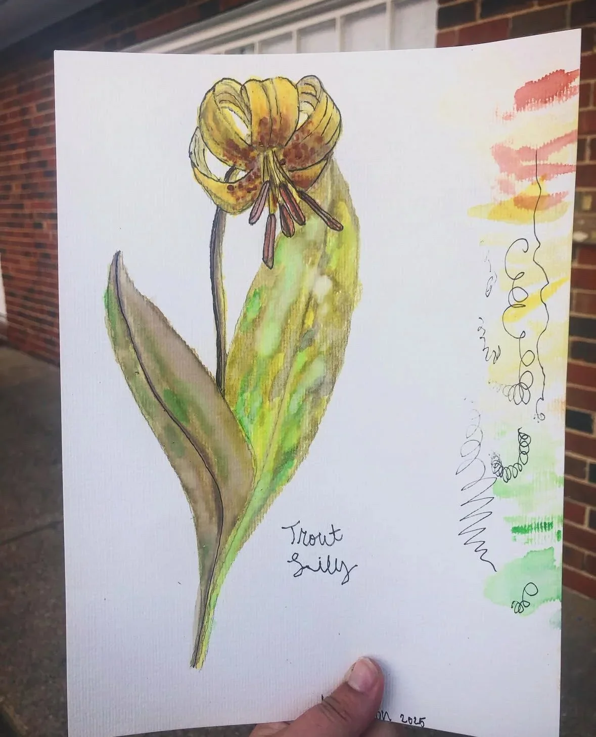 Botanical Painting for Kids w/ Katie Sutton