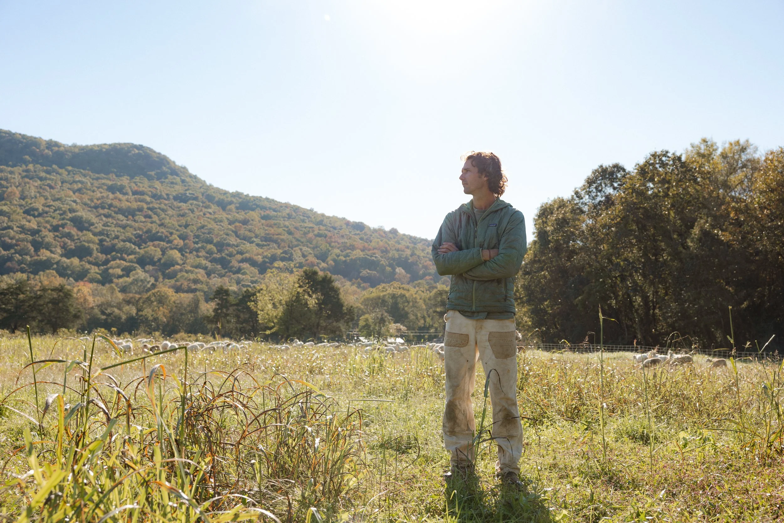 Lessons From the Past For a Regenerative Future