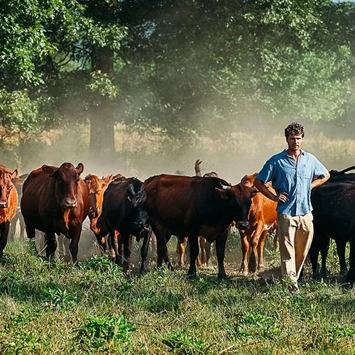 kelsey keener standing in front of his grass fed heard