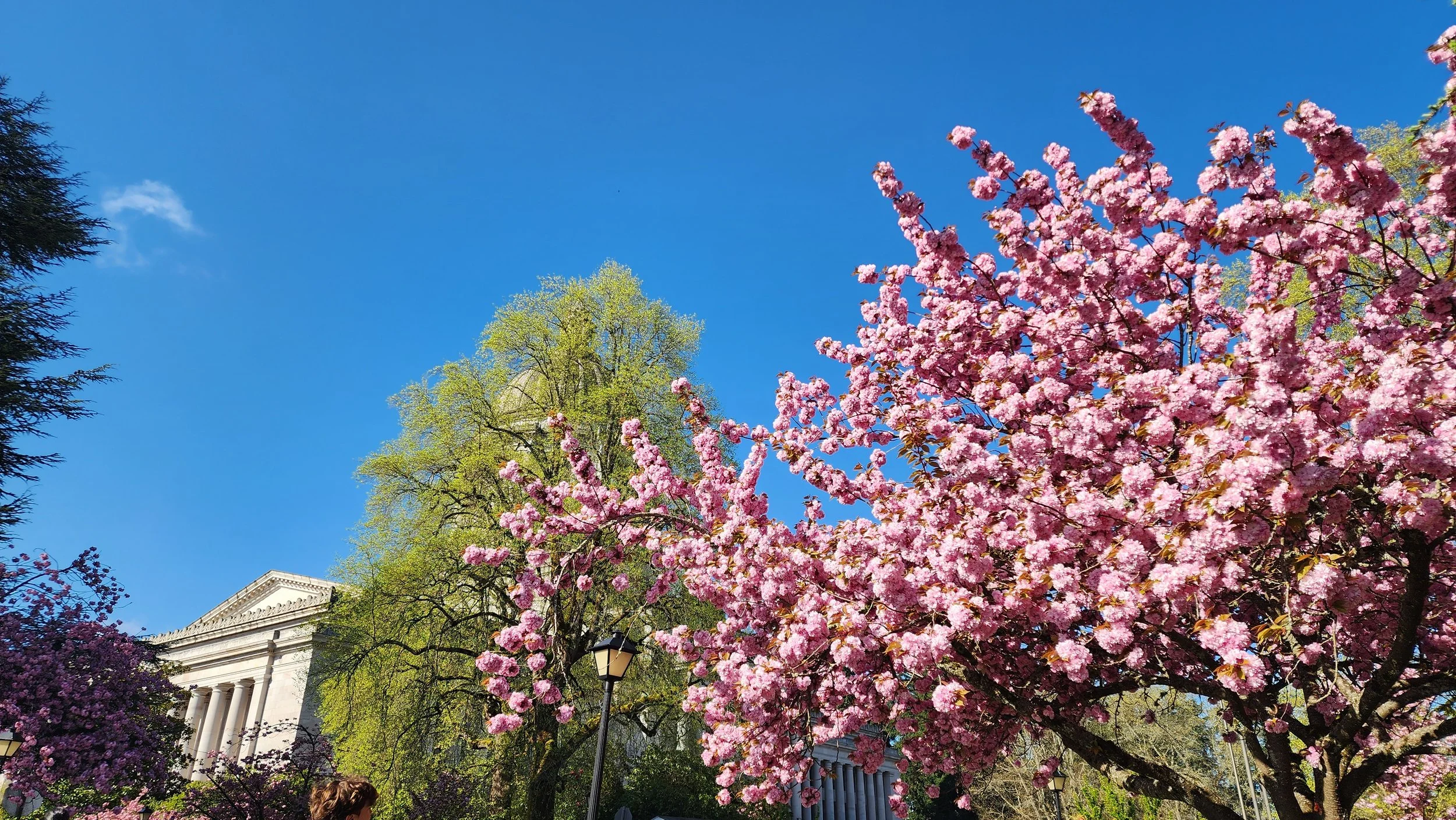 Family Travel- Olympia, Washington