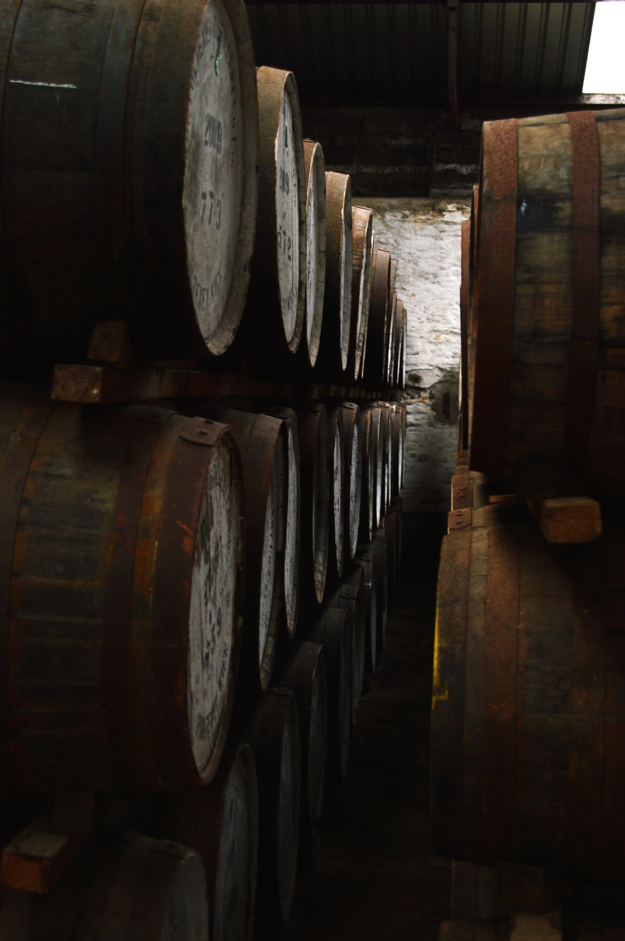 Rows of sealed whiskey barrels