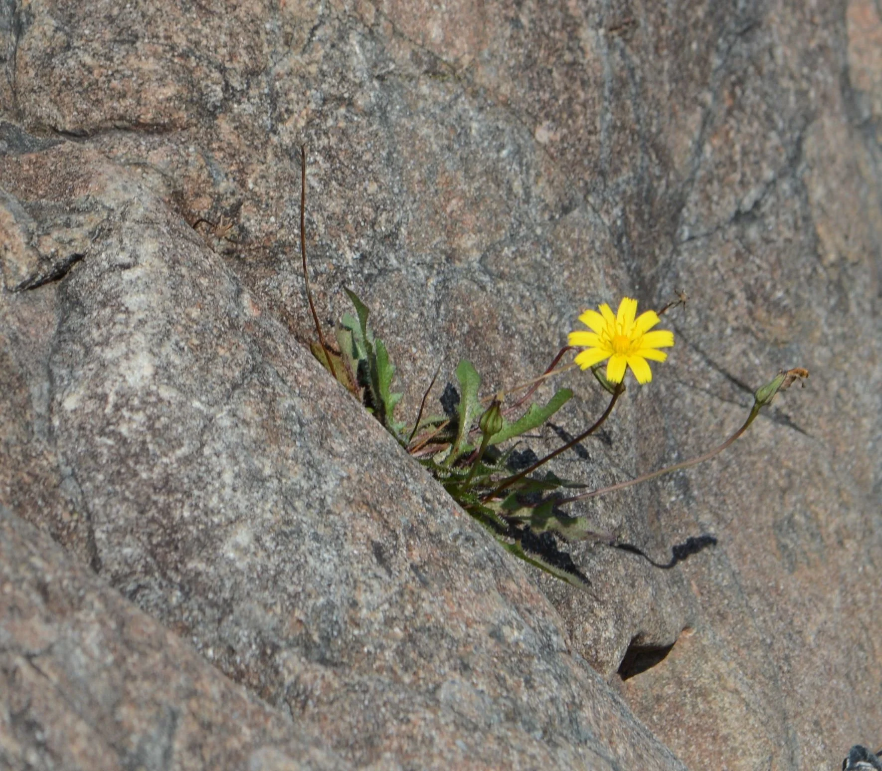 Maximize Productivity and Organizational Resilience