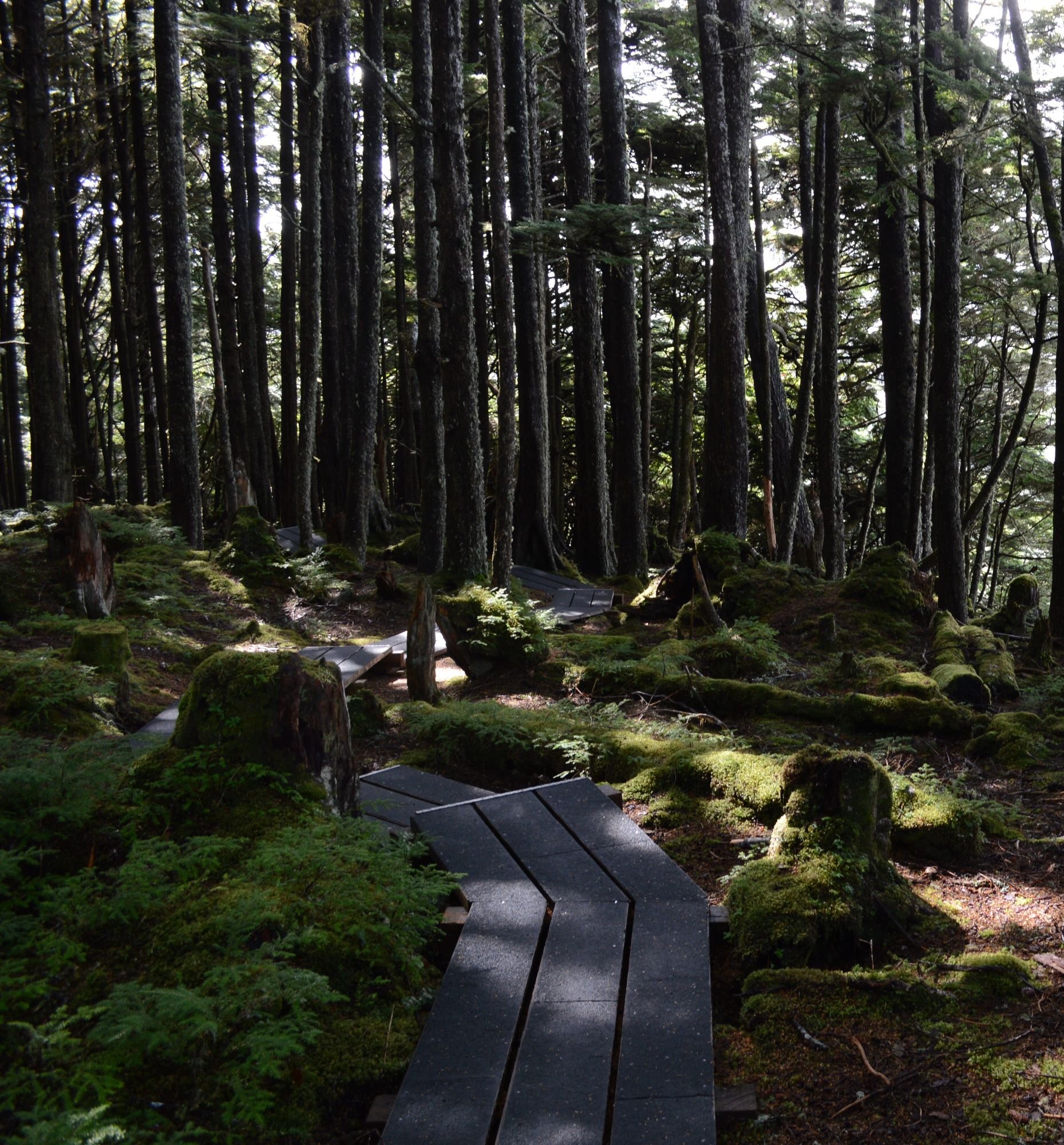 Feedback? Or more Exploration?