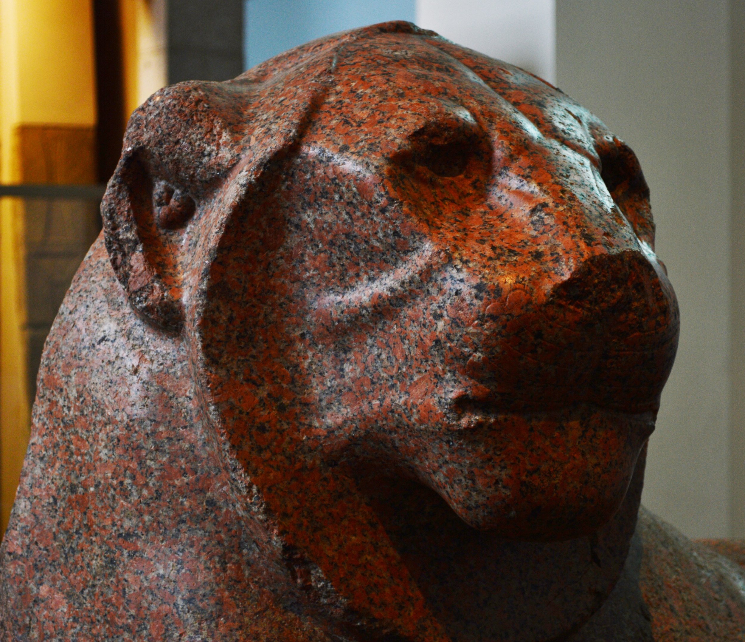 The Program: Leader of Impact