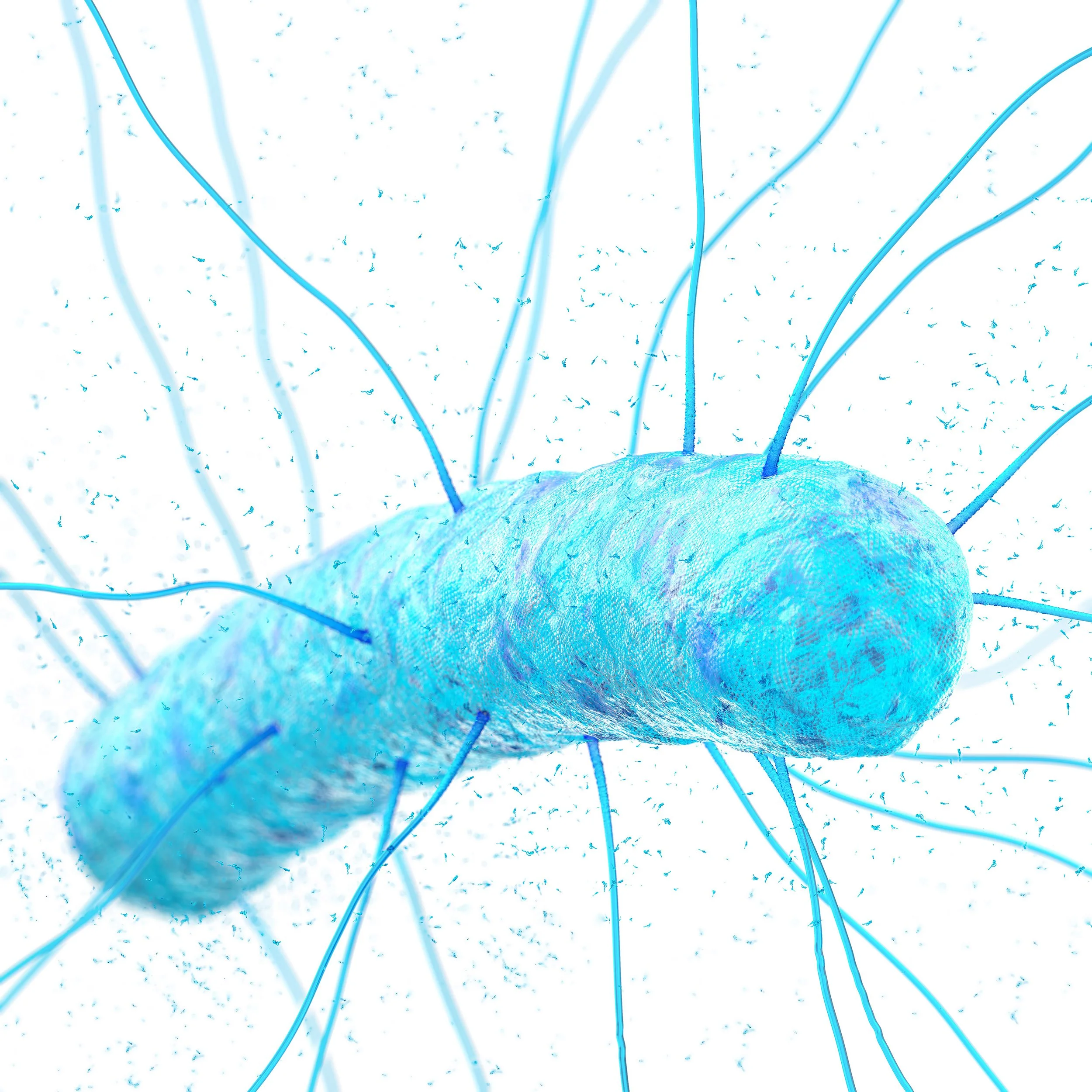CloDiff_Size_01.jpg