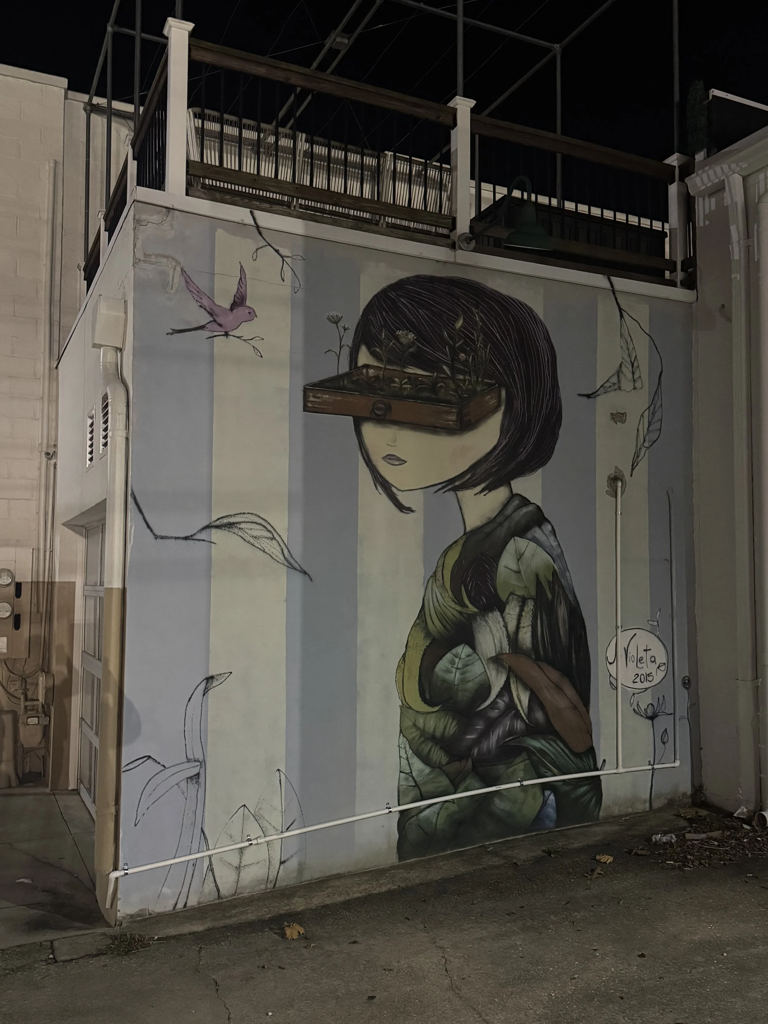 Street Art near Third Eye Comics.jpeg