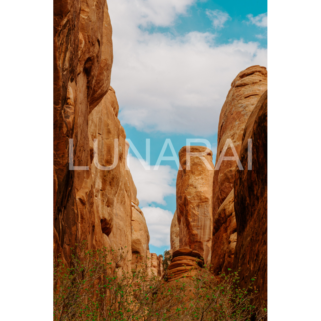 image_original_a63e0dc6926139d5fa861f37ff4ab6ab.png