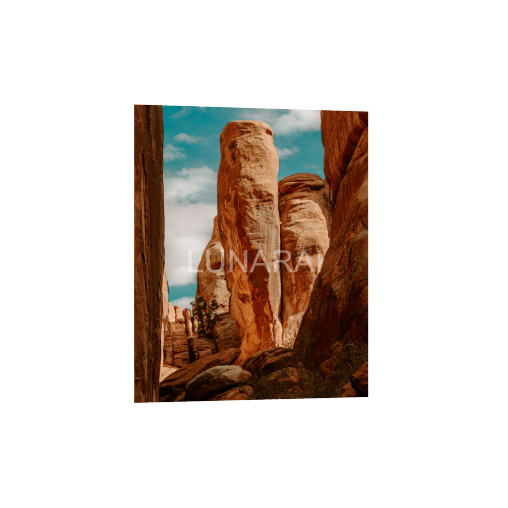 ptq_1_6_0_328_2624_3280_0_false_ffffff_0_0_a63e0dc6926139d5fa861f37ff4ab6ab.png