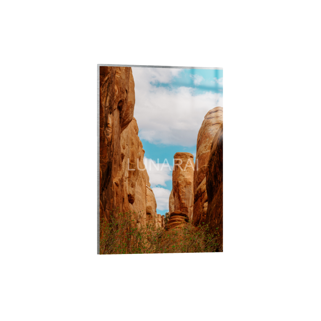 ptq_13_3_0_0_2624_3936_0_false_ffffff_0_0_a63e0dc6926139d5fa861f37ff4ab6ab.png
