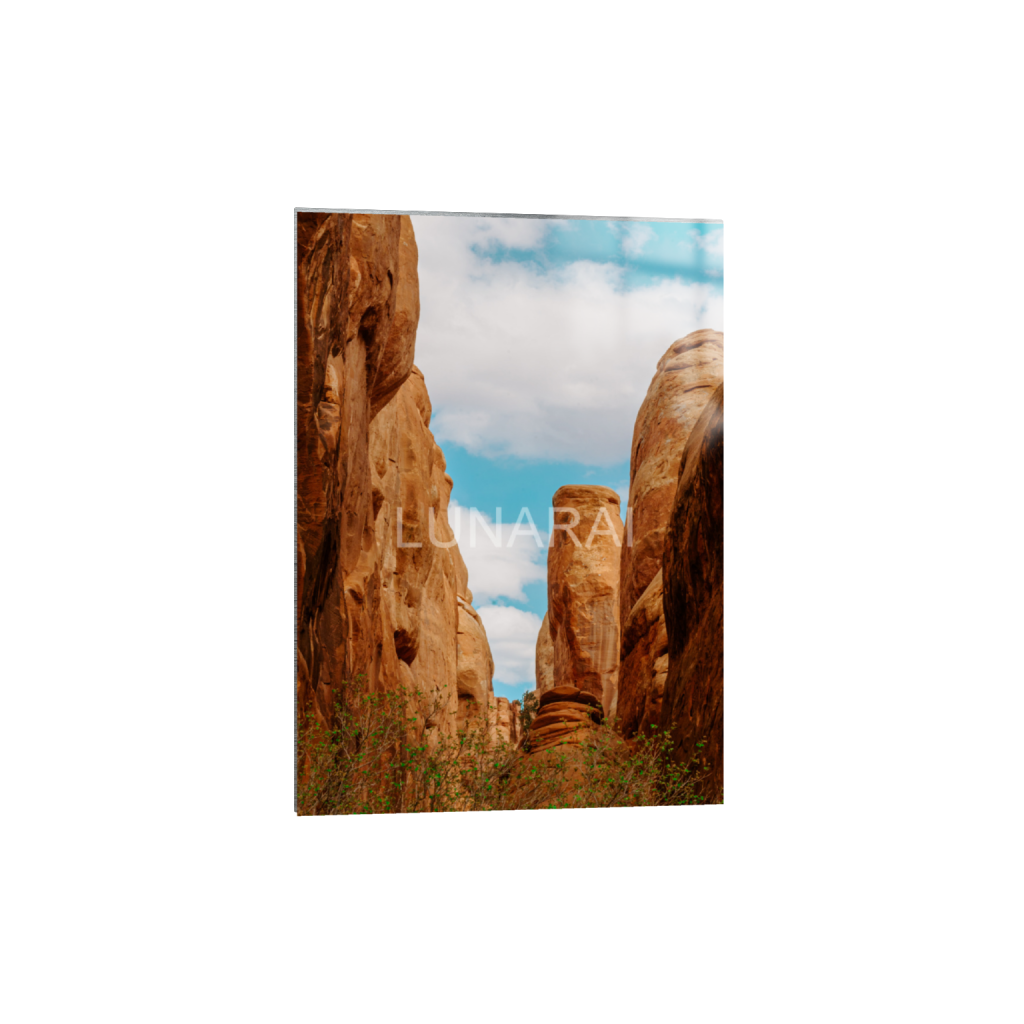ptq_13_7_0_131_2624_3673_0_false_ffffff_0_0_a63e0dc6926139d5fa861f37ff4ab6ab.png