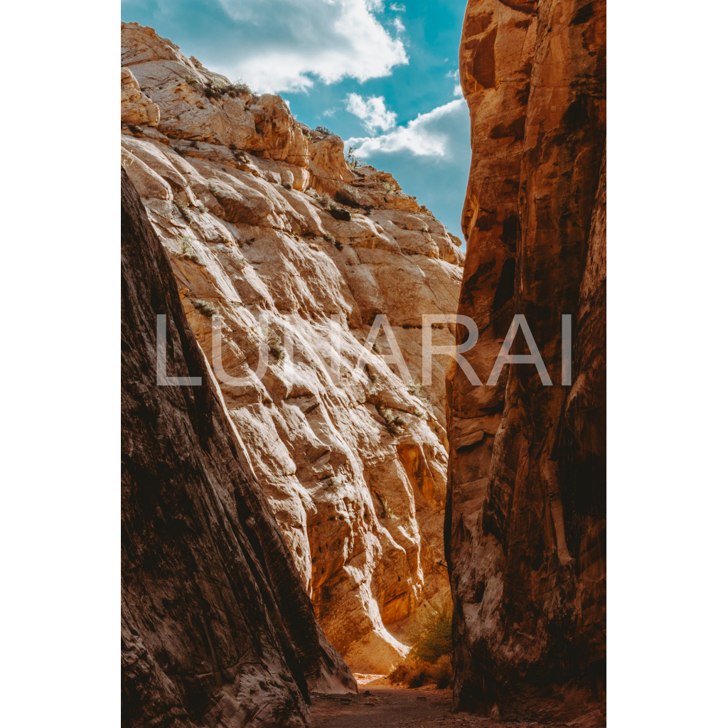 image_original_a63e0dc6926139d5fa861f37ff4ab6ab.png