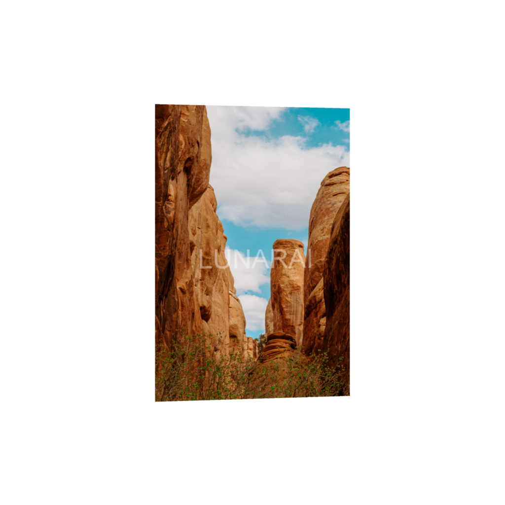 ptq_34_3_0_0_2624_3936_0_false_ffffff_0_0_a63e0dc6926139d5fa861f37ff4ab6ab.png