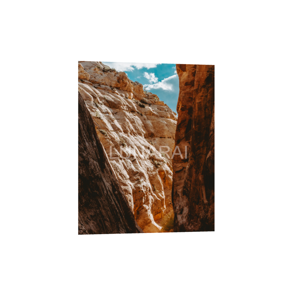 ptq_34_6_0_303_2434_3042_0_false_ffffff_0_0_a63e0dc6926139d5fa861f37ff4ab6ab.png