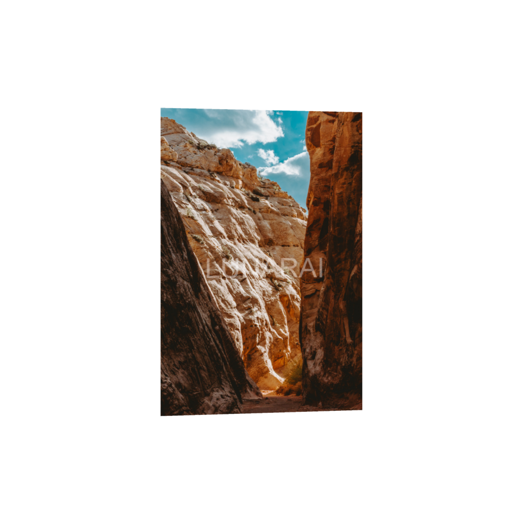 ptq_34_3_0_0_2433_3650_0_false_ffffff_0_0_a63e0dc6926139d5fa861f37ff4ab6ab.png