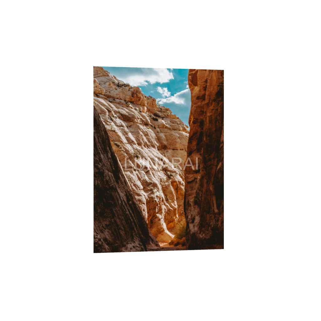 ptq_1_7_0_121_2434_3407_0_false_ffffff_0_0_a63e0dc6926139d5fa861f37ff4ab6ab.png
