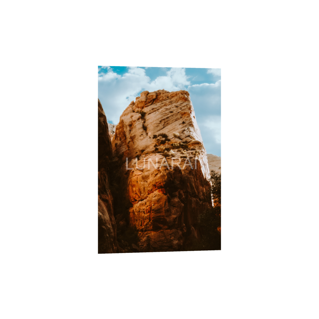 ptq_34_3_0_0_2624_3936_0_false_ffffff_0_0_a63e0dc6926139d5fa861f37ff4ab6ab.png