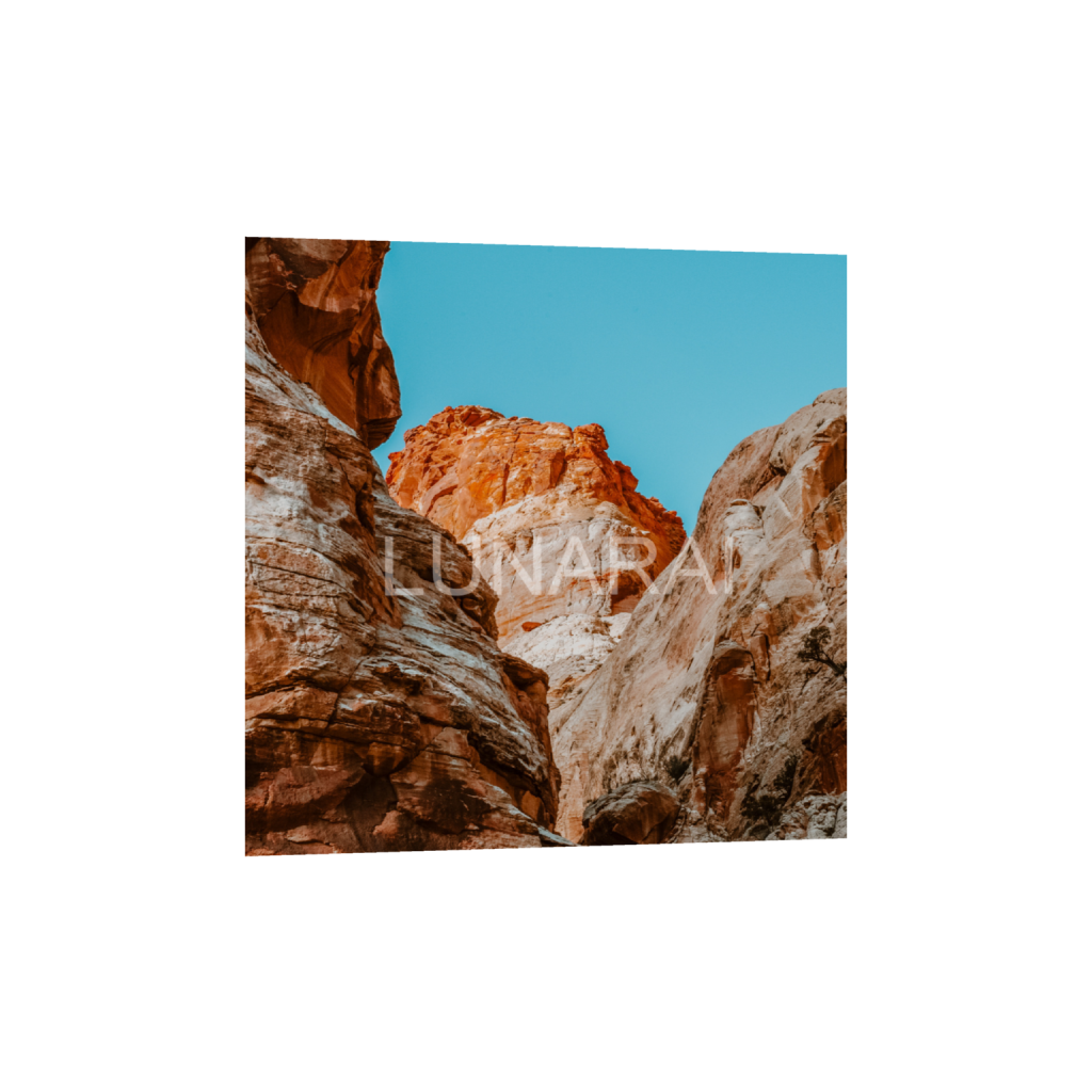 ptq_34_0_0_758_2557_2557_0_false_ffffff_14_14_a63e0dc6926139d5fa861f37ff4ab6ab.png