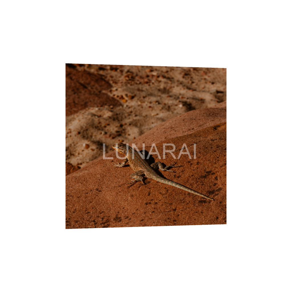 ptq_1_0_834_0_1845_1845_0_false_ffffff_0_0_a63e0dc6926139d5fa861f37ff4ab6ab.png