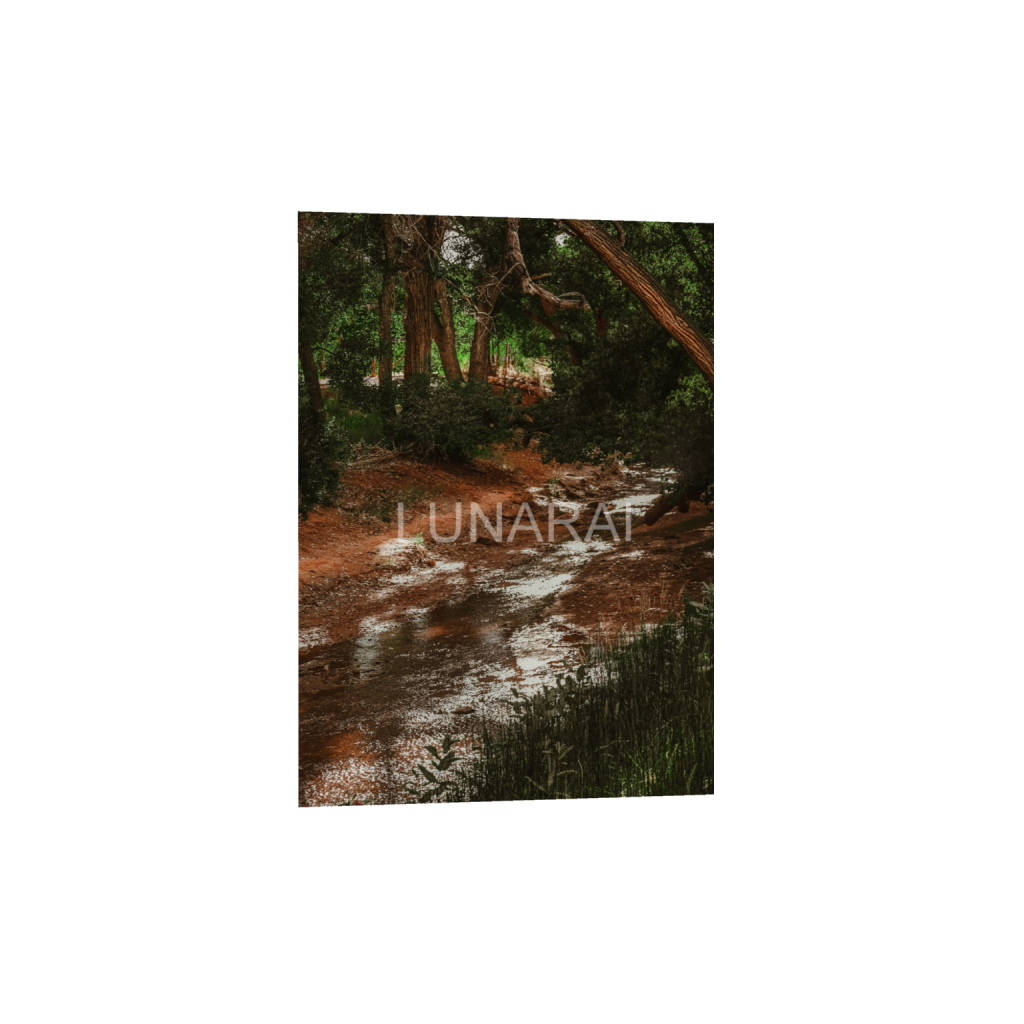 ptq_1_7_0_121_2436_3410_0_false_ffffff_0_0_a63e0dc6926139d5fa861f37ff4ab6ab.png