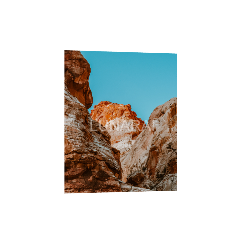 ptq_1_6_0_319_2557_3196_0_false_ffffff_0_0_a63e0dc6926139d5fa861f37ff4ab6ab.png
