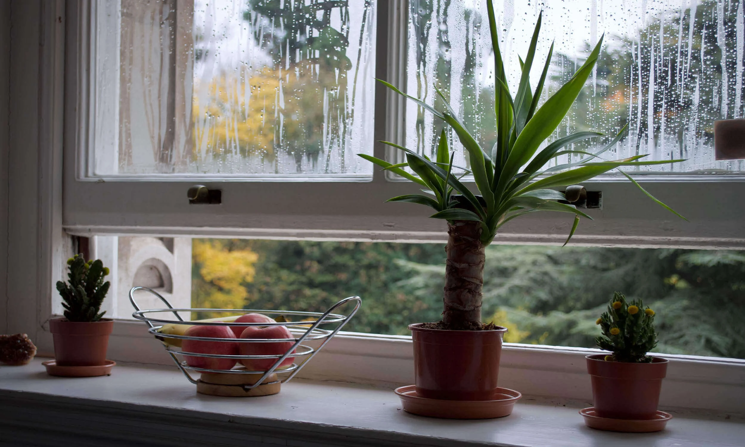 Natural ventilation - 7 tips to make a healthier home, for free