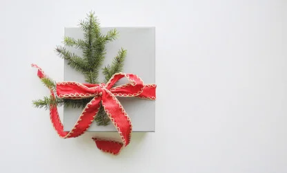 Best tips for reducing waste over Xmas and summer