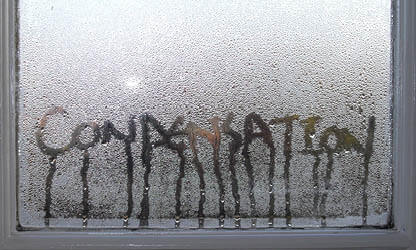 Jonny on the pillars of a healthy home