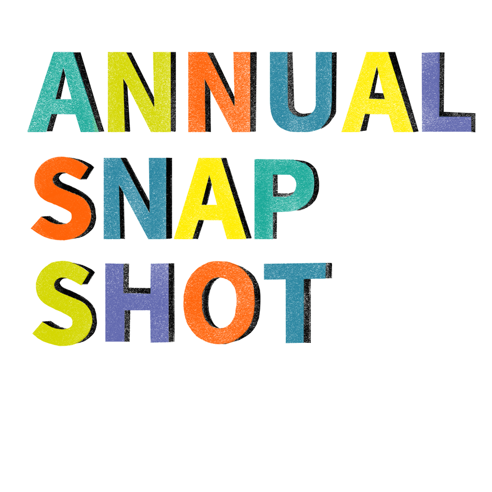 Annual snap shot.png