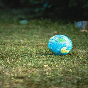 Life hack: how to live a more sustainable life