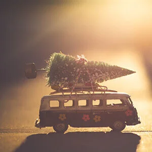 Life Hack: How to not cost the earth this Christmas.