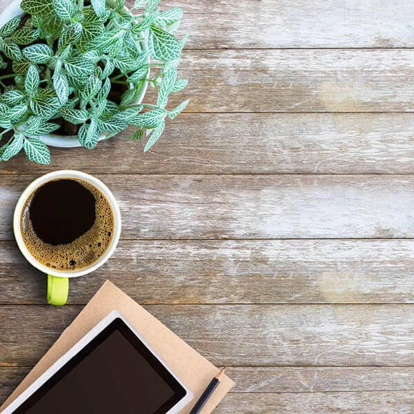 Your Sustainable Workplace