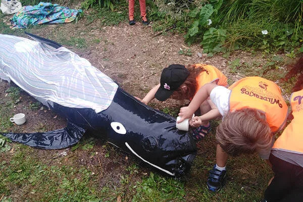 Save the whales with Project Jonah