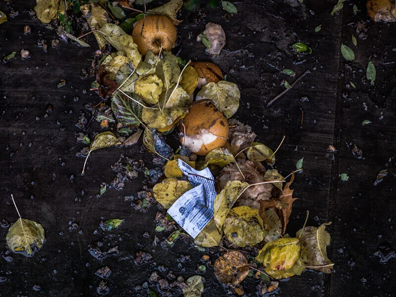 What to do with foodwaste while in lockdown