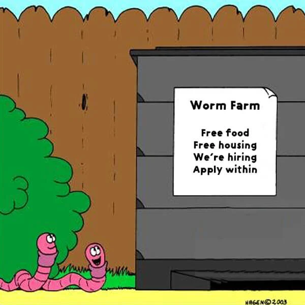 DIY worm farm Sustainability Trust Wellington