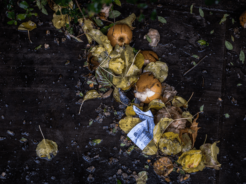 Your Sustainable Home - Composting at Home