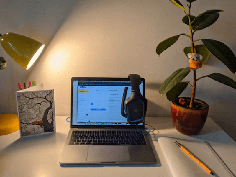 Working sustainably from home