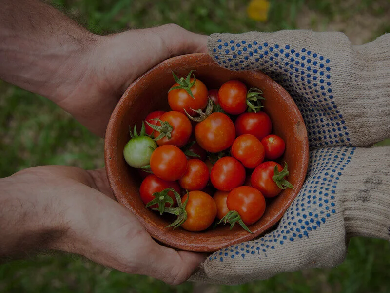 Your Sustainable Home - Growing in your community