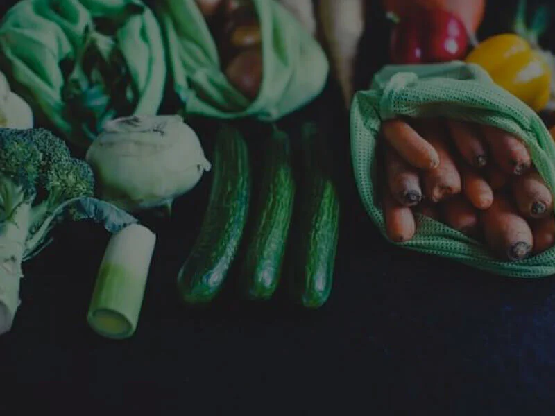 Your Sustainable Home - Litterless Lunches &amp; Food waste